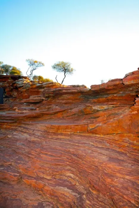 Framed Print : Rock Trees on the top of a gorge in Kalbarri Western Australia Framed Print : Rock Trees on the top of a gorge in Kalbarri Western Australia