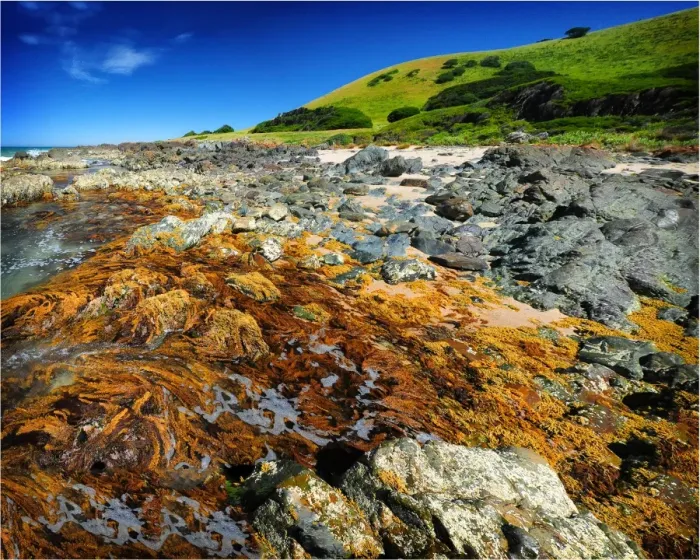 Framed Print : Rocky shoreline at Naracoopa, King Island Bass Strait, Tasmania, Australia Framed Print : Rocky shoreline at Naracoopa, King Island Bass Strait, Tasmania, Australia