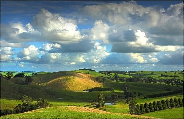 The rolling countryside in south Gippsland near the town of Fish Creek, Victoria
