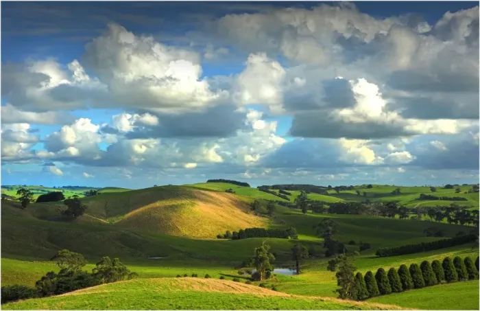 Framed Print : The rolling countryside in south Gippsland near the town of Fish Creek, Victoria Framed Print : The rolling countryside in south Gippsland near the town of Fish Creek, Victoria