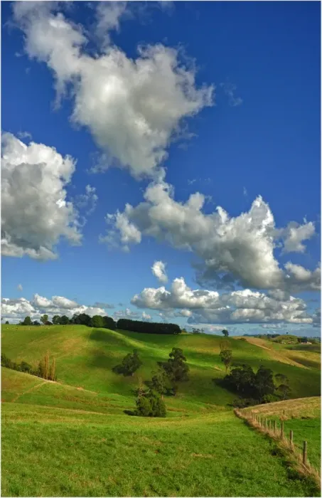 Framed Print : The rolling countryside in south Gippsland near the town of Fish Creek, Victoria Framed Print : The rolling countryside in south Gippsland near the town of Fish Creek, Victoria