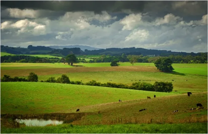 Framed Print : The rolling countryside in south Gippsland near the town of Fish Creek, Victoria Framed Print : The rolling countryside in south Gippsland near the town of Fish Creek, Victoria