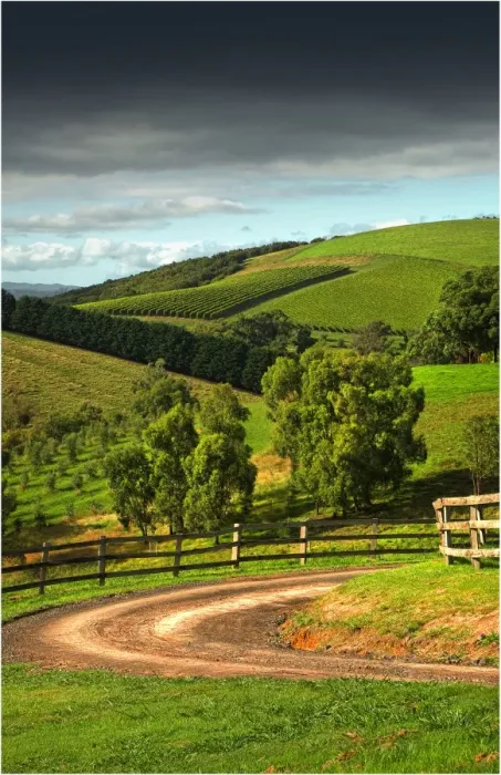 Framed Print : The Rolling hills at Riverstone, Yarra Valley, Victoria, Australia Framed Print : The Rolling hills at Riverstone, Yarra Valley, Victoria, Australia