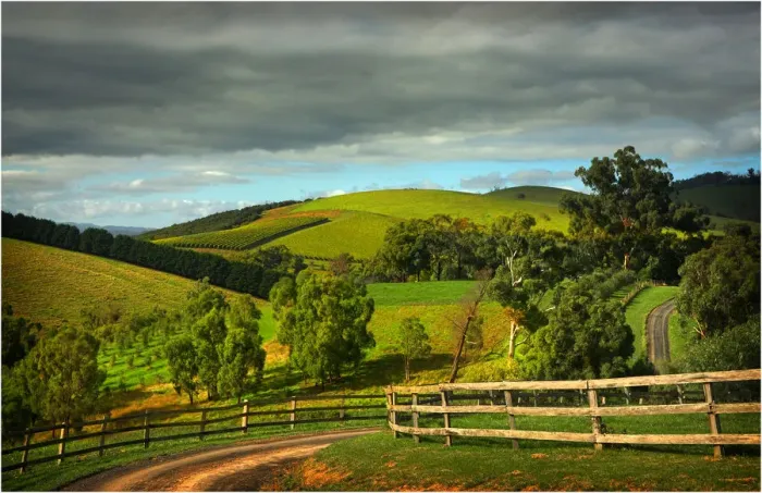 Framed Print : The Rolling hills at Riverstone, Yarra Valley, Victoria, Australia