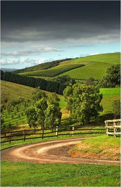The Rolling hills at Riverstone, Yarra Valley, Victoria, Australia