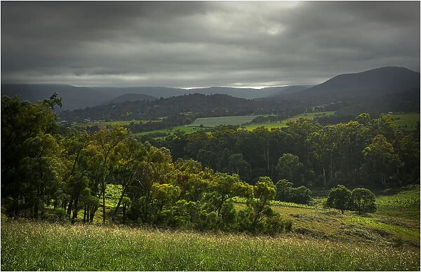 The Rolling hills at Riverstone, Yarra Valley, Victoria, Australia