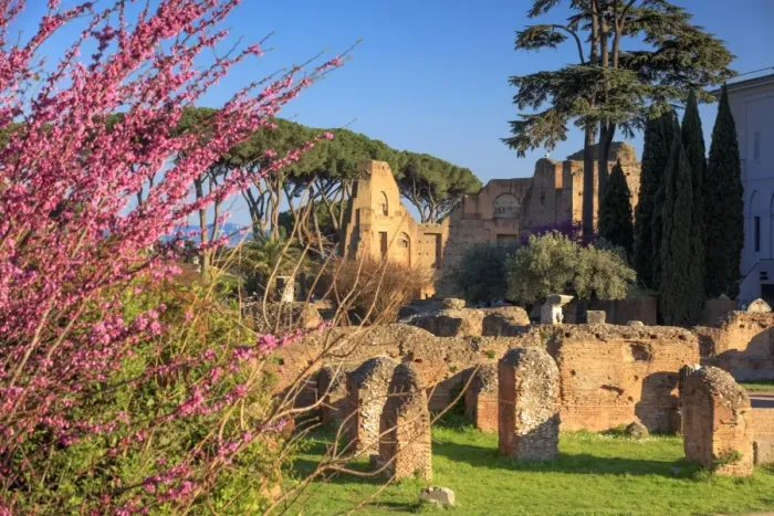 Framed Print : Rome, Palatine hill Framed Print : Rome, Palatine hill