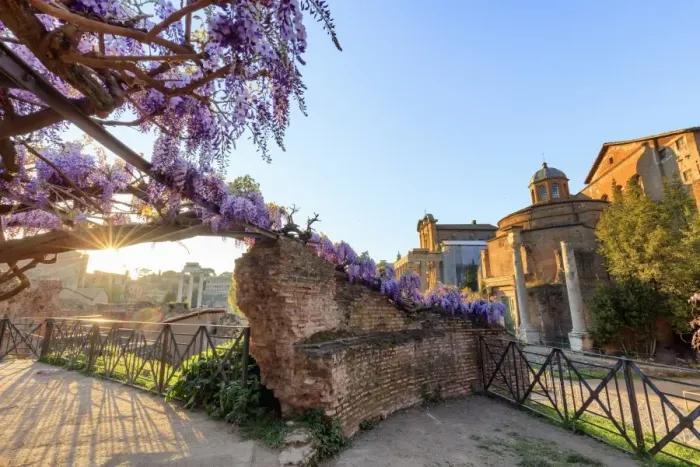 Framed Print : Rome, Roman Forum
