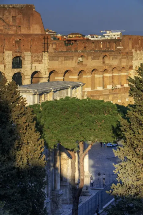 Framed Print : Rome, Roman Forum Framed Print : Rome, Roman Forum