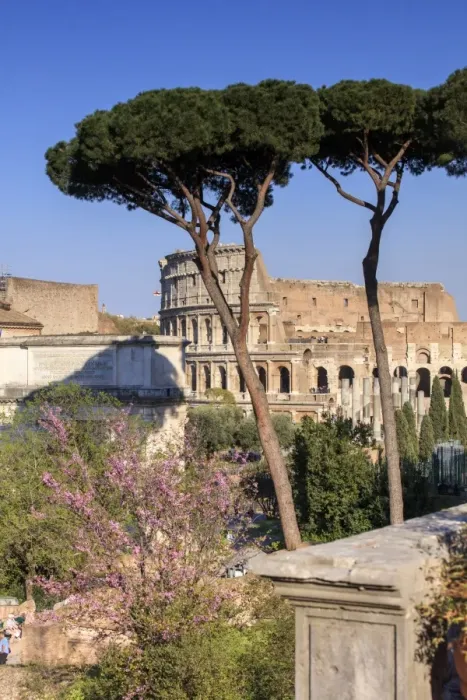 Framed Print : Rome, Roman Forum Framed Print : Rome, Roman Forum
