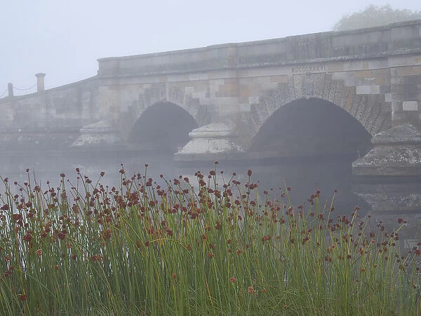 Ross bridge partly hidden by the morning fog