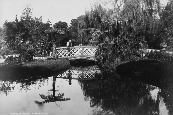Framed Print : Royal Botanic Garden, Sydney Framed Print : Royal Botanic Garden, Sydney