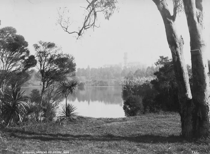 Framed Print : Royal Botanic Gardens Victoria Framed Print : Royal Botanic Gardens Victoria