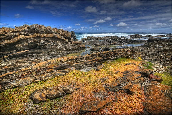 Rugged coastline, King Island Bass Strait, Tasmania, Australia