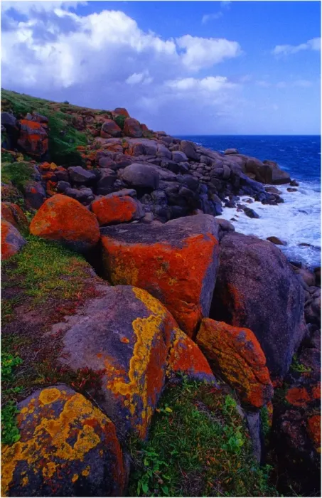 Framed Print : The rugged and rocky coastline on Granite Island near Victor Harbour, south Australia Framed Print : The rugged and rocky coastline on Granite Island near Victor Harbour, south Australia