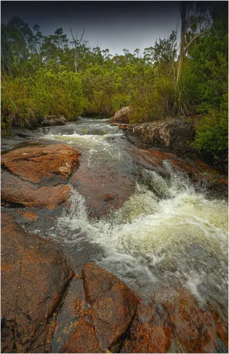 Framed Print : Running stream in the Hartz mountains national park, part of the world heritage wilderness, Tasmania