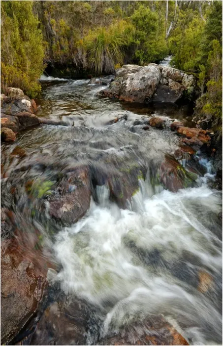 Framed Print : Running stream in the Hartz mountains national park, part of the world heritage wilderness, Tasmania