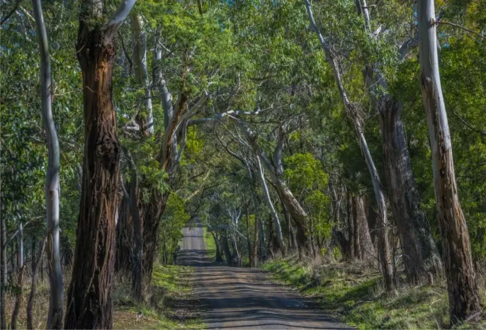 Framed Print : A rural countryside road in the Macedon Ranges, Victoria, Australia Framed Print : A rural countryside road in the Macedon Ranges, Victoria, Australia