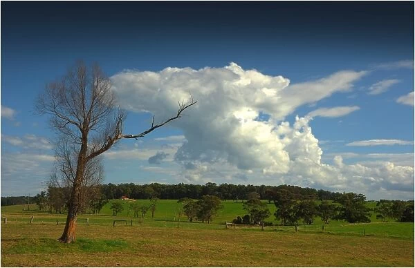 Rural farmland at Nerrena, South Gippsland, Victoria, Australia