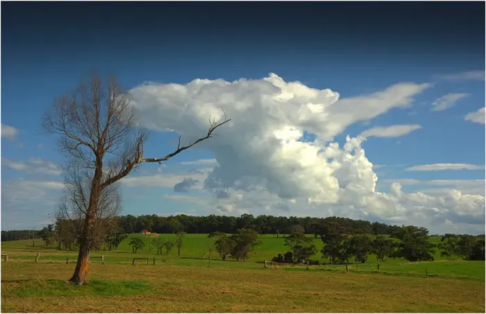 Framed Print : Rural farmland at Nerrena, South Gippsland, Victoria, Australia