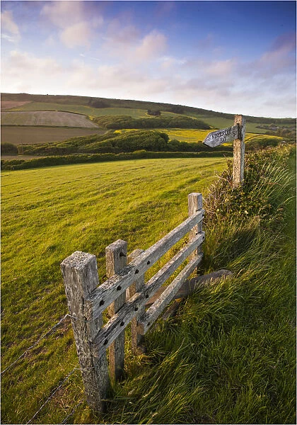 A rural gate near Kimmeridge, Dorset, England