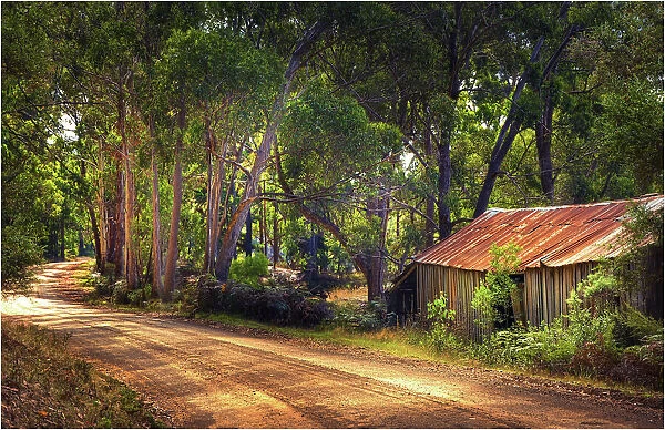 A rural gravel road on south Bruny Island, Southern Tasmania