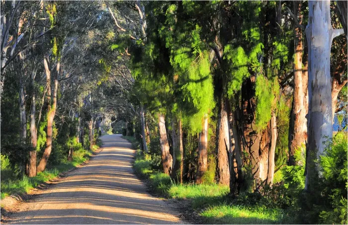 Framed Print : A rural road near Bairnsdale, Victoria, Australia Framed Print : A rural road near Bairnsdale, Victoria, Australia