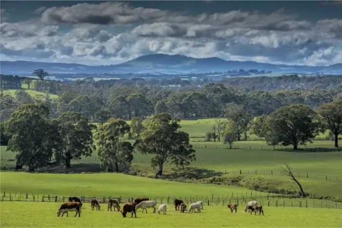 Framed Print : A rural scene in the Cherokee countryside, Macedon Ranges, Victoria, Australia Framed Print : A rural scene in the Cherokee countryside, Macedon Ranges, Victoria, Australia