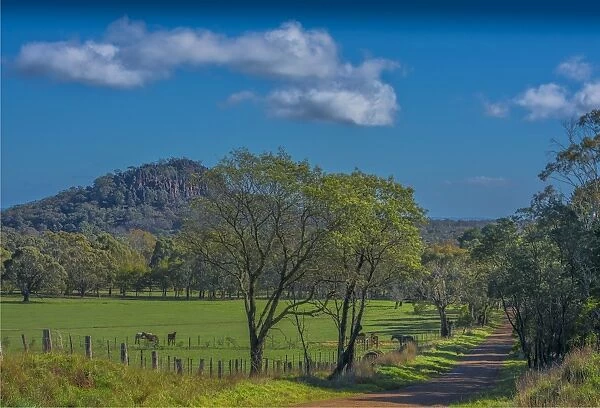 A rural scene in the Cherokee countryside, Macedon Ranges, Victoria, Australia