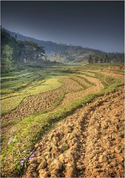 Rural scene Damauli, Western Himalayas, Nepal