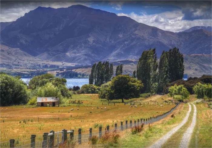 Framed Print : A rural scene of farmland near Wanaka, in the Autumn, South Island, New Zealand
