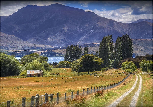 A rural scene of farmland near Wanaka, in the Autumn, South Island, New Zealand