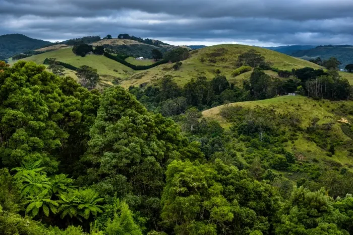 Framed Print : Rural scene in Great Otway National Park, Victoria Framed Print : Rural scene in Great Otway National Park, Victoria
