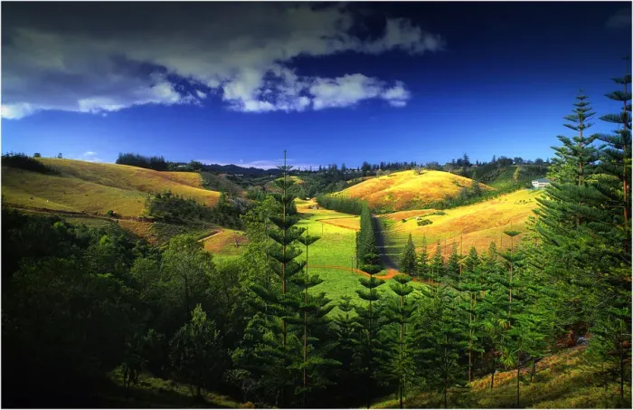 Framed Print : A rural scene on the Idyllic south pacific Norfolk Island