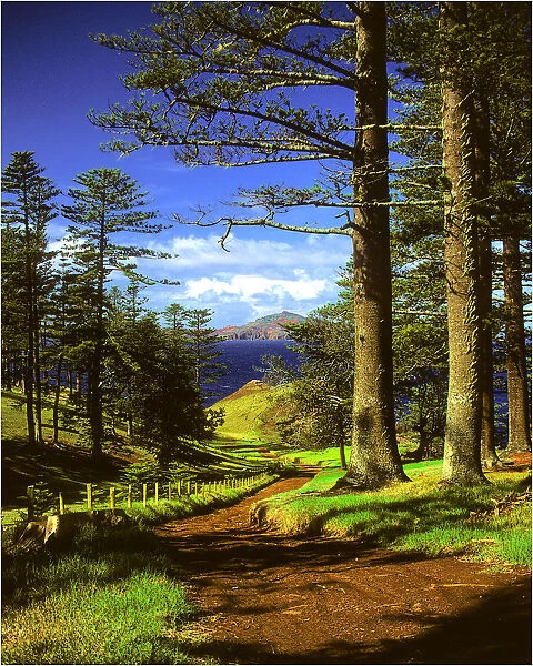 A rural scene on the Idyllic south pacific Norfolk Island