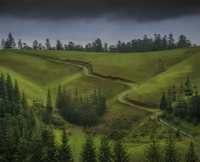 Framed Print : A rural scene on the Idyllic south pacific Norfolk Island