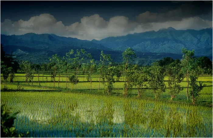 Framed Print : Rural scene on the Island of Lombok, Indonesia