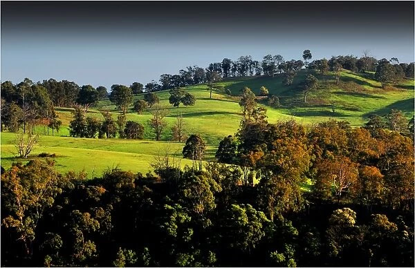 A rural scene near Bairnsdale, eastern Victoria, Australia