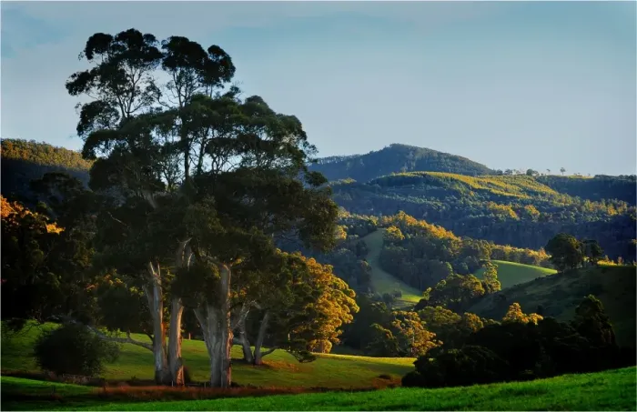 Framed Print : A rural scene of rolling countryside in Goulds country, north east Tasmania Framed Print : A rural scene of rolling countryside in Goulds country, north east Tasmania
