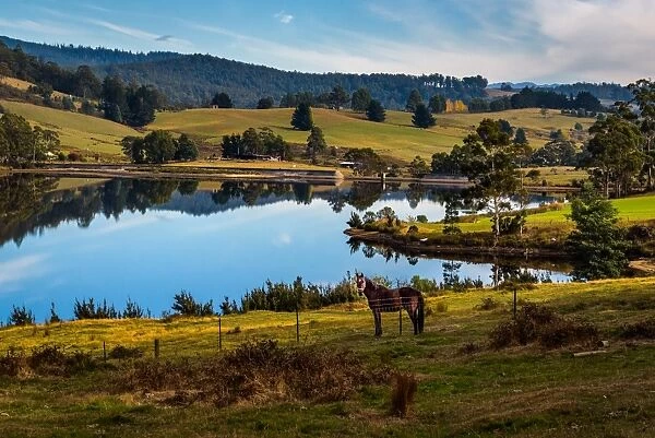 Rural Tasmania at Huon Valley
