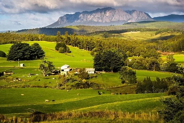 Rural Tasmania and Mount Roland