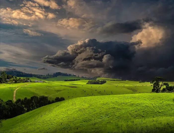 Framed Print : Rural view near the Bunurong Bass Coastline, South Gippsland, Victoria, Australia Framed Print : Rural view near the Bunurong Bass Coastline, South Gippsland, Victoria, Australia
