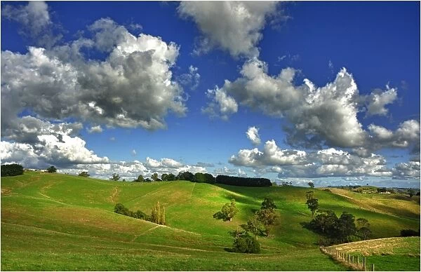 Rural view near Fish Creek, South Gippsland, Victoria, Australia