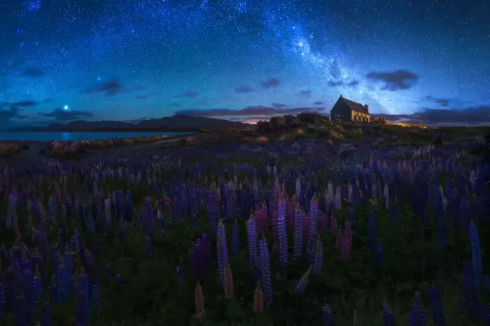 Framed Print : Russel Lupines and Church of The Good Shepherd, Lake Tekapo, New Zealand