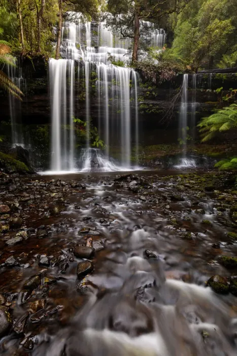 Framed Print : Russell Falls