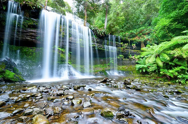Russell falls mount field nationala park Tasmania