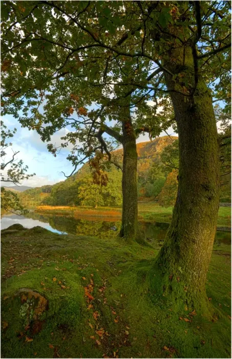 Framed Print : Rydal water, Lakes district, Cumbria, England, United Kingdom Framed Print : Rydal water, Lakes district, Cumbria, England, United Kingdom
