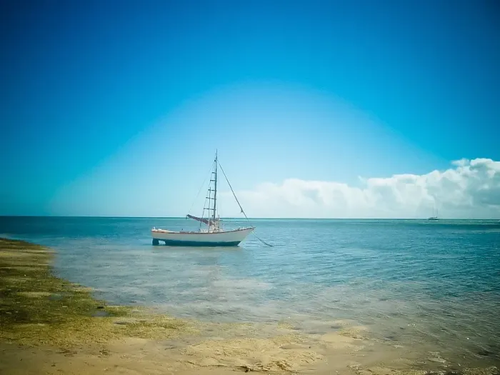 Framed Print : Sailboat on shore