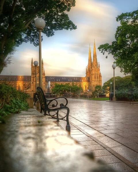 Saint Marys Cathedral view from Hyde Park