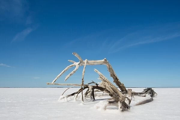 Salt lake, South Australia